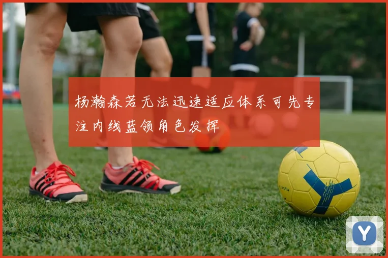 杨瀚森若无法迅速适应体系可先专注内线蓝领角色发挥