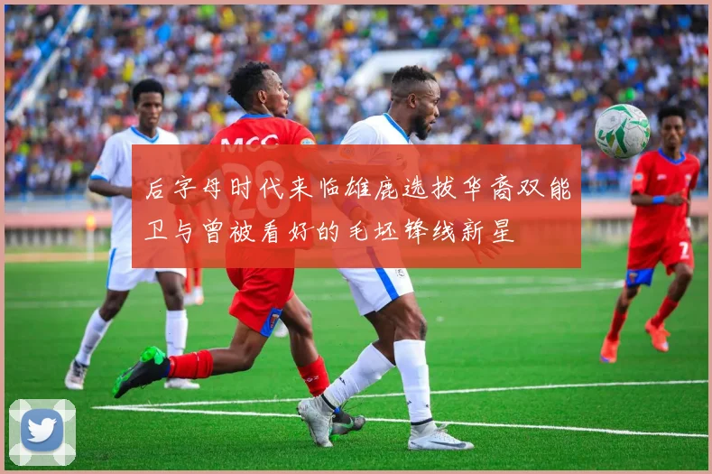 后字母时代来临雄鹿选拔华裔双能卫与曾被看好的毛坯锋线新星